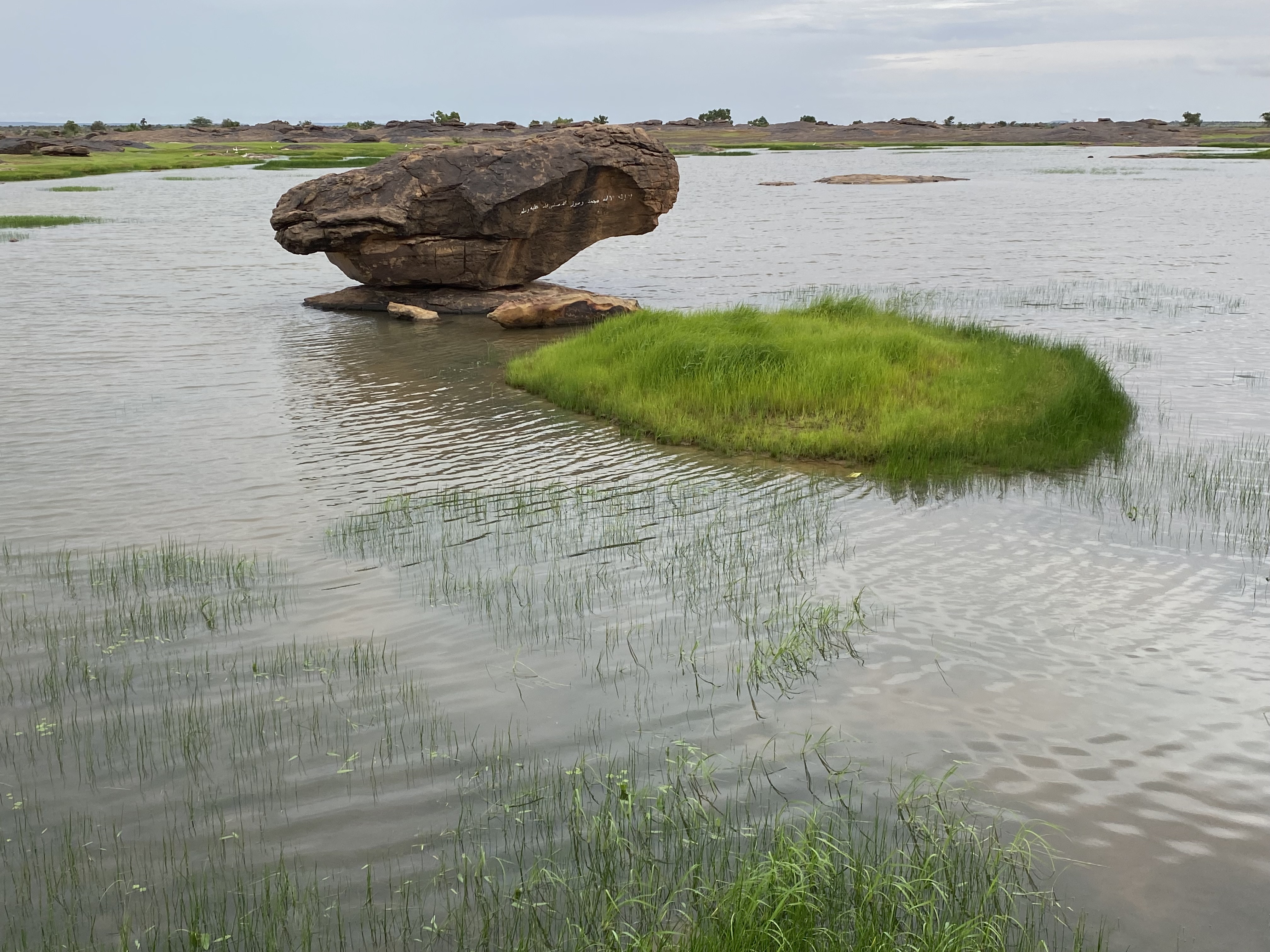 Tamchekett Landscape